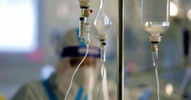 “Afrohet” lija e majmunëve, Serbia konfirmon rastin e parë