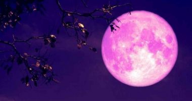 Gati për takimin me Superhënën e pare të 2022? Hëna “Luleshtrydhe” dhuron spektakël në qiell, si mund ta shihni