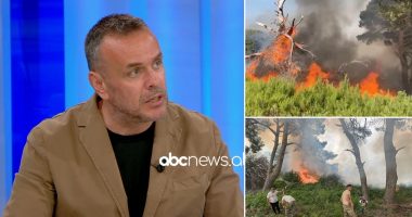 Zjarri në Sazan i qëllimshëm, Karamuço: Poshtë ishullit ka 18 tunele të fortifikuara, zonë paraqet rrezik