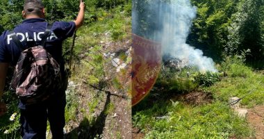Policia mësyn në Velipojë për drogë, dy “kopshtarët” arratisen pyjeve, policia u pret dhe u djeg “barin”