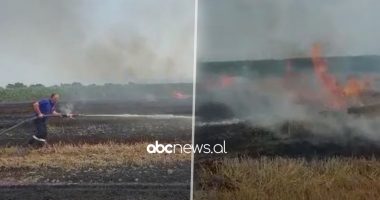 VIDEO/ Zjarr në Vlorë, digjen arat e grurit dhe ullishtet
