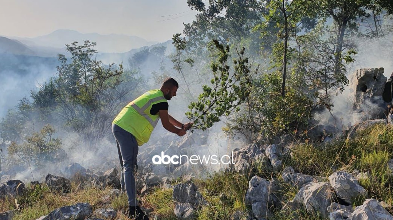 VIDEO/Zjarr në Velipojë, punonjësit shuajnë  flakët me degë