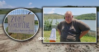 4 200 rosa të ngordhura, ABC siguron rezultatin e analizave për fermën e Divjakës