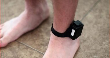 Theu arrestin shtëpiak, policia arreston 39-vjeçarin në Elbasan