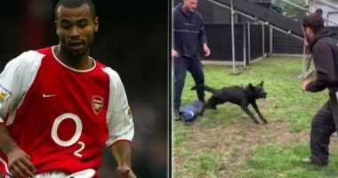 Eksperienca e frikshme dy vite më parë, Ashley Cole shpenzon mijëra euro për një qen