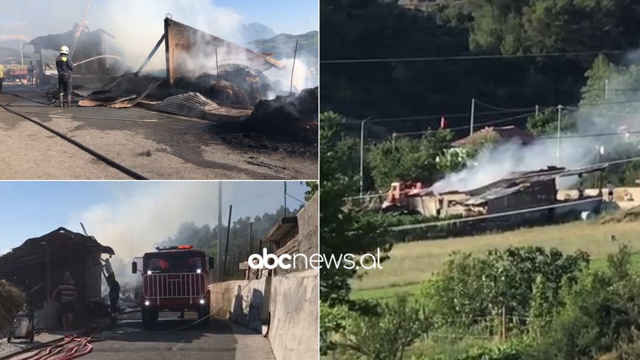 VIDEO/ Merr flakë stalla e bagëtive në Gramsh