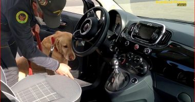 3,5 ton drogë e importuar nga Shqipëria, Italia lëshon urdhër arreste  për dy anëtarët e  grupit të “Habilajve”