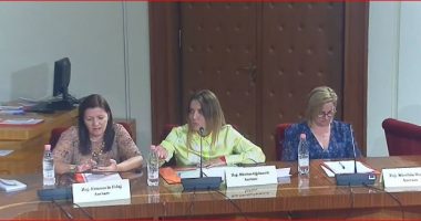 “Unë nuk jam pjesë e tualetit”, Gjylameti ankesa ndaj Vasilit: Kujdes me termat