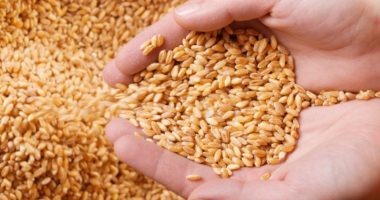 Shtrenjtimi i plehrave kimike pritet të godasë prodhimin, bota drejt katastrofës ushqimore