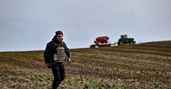 Lufta në Ukrainë i merr botës bukën e gojës, të mbjellat e drithit ulen me 25%