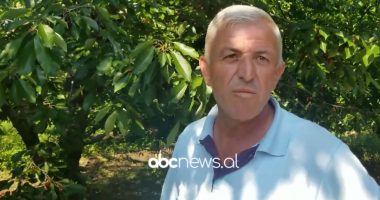Lufta në Ukrainë le stok qershitë e Korçës