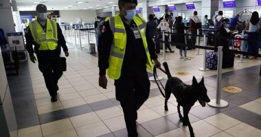 Ku e kishin fshehur “të bardhën”?  Dy kolumbianë befasojnë policinë në aeroportin e Panamasë