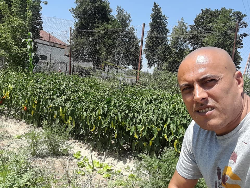 I dënuari përjetë tregon të mbjellat në burg: Toka shqiptare është e bekuar