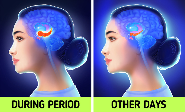 5 gjërat që ndodhin gjatë ciklit tuaj menstrual