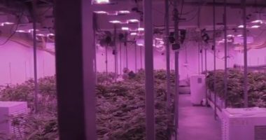 Mediat në Maqedoni: Arrestohet për drogë në Ohër dhëndri i kryebashkiakut shqiptar, Xhakolli për abcnews.al: Është në Turqi me pushime