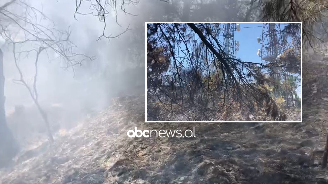 Zjarr në Fier, rrezikohen antenat televizive dhe celulare në Peshtan të Madh