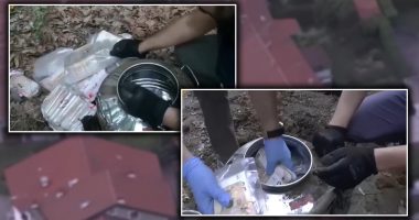 VIDEOT/ Si milionat e grabitura në Rinas, gjendet i groposur thesari i “Ndrangheta-s” në Itali