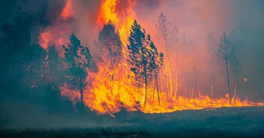 Mbi 1000 të vdekur nga vala e të nxehtit ekstrem në Europë