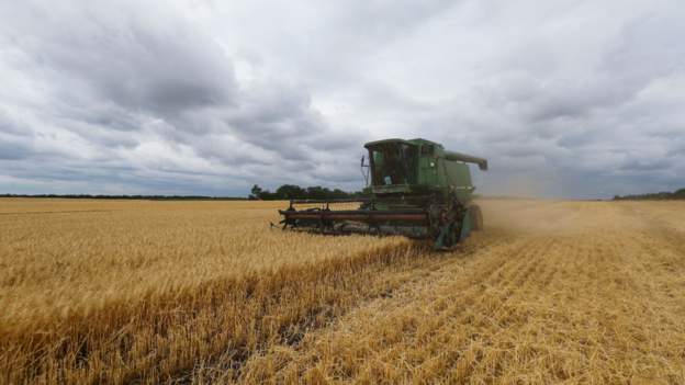 Rusia nis eksportin e grurit nga Ukraina