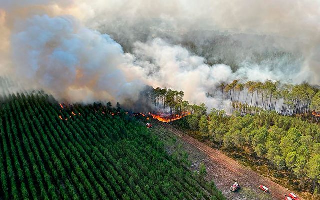 FOTO/ Pamje “apokaliptike” nga Franca, zjarret dalin jashtë kontrollit