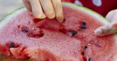 Diabetikët nuk duhet t’i hedhin farat e shalqirit, kjo është arsyeja