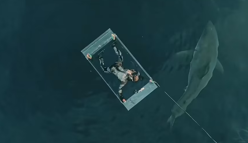 VIDEO/ Momenti i frikshëm, peshkaqeni shkatërron kutinë e qelqtë të zhytësit teksa po eksploronte