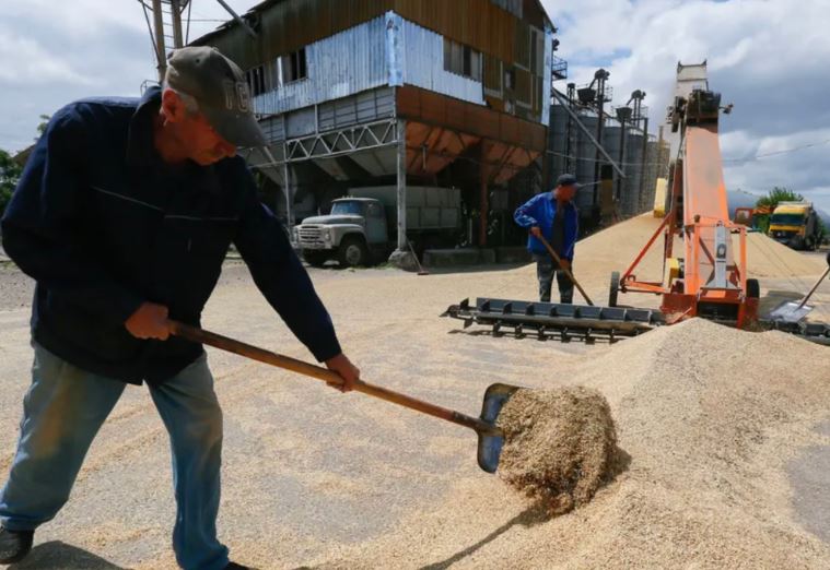 Tre opsionet e Perëndimit përballë urisë globale të shkaktuar nga lufta në Ukrainë