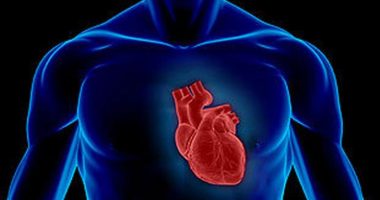 Këto janë profesionet që ju bëjnë keq për zemrën