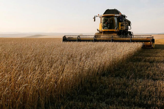 “Vetëm për persona të autorizuar me gjysmë çmimi,” 2 milionë ton grurë po korren në zonat e pushtuara në Zaporizhzhia