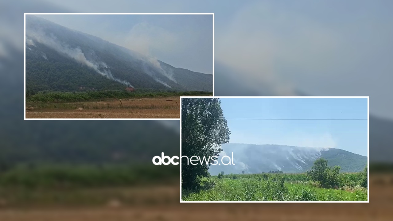 VIDEO/ Zjarr i madh në malin e Torrovicës në Lezhë, digjen 15 hektarë pyje