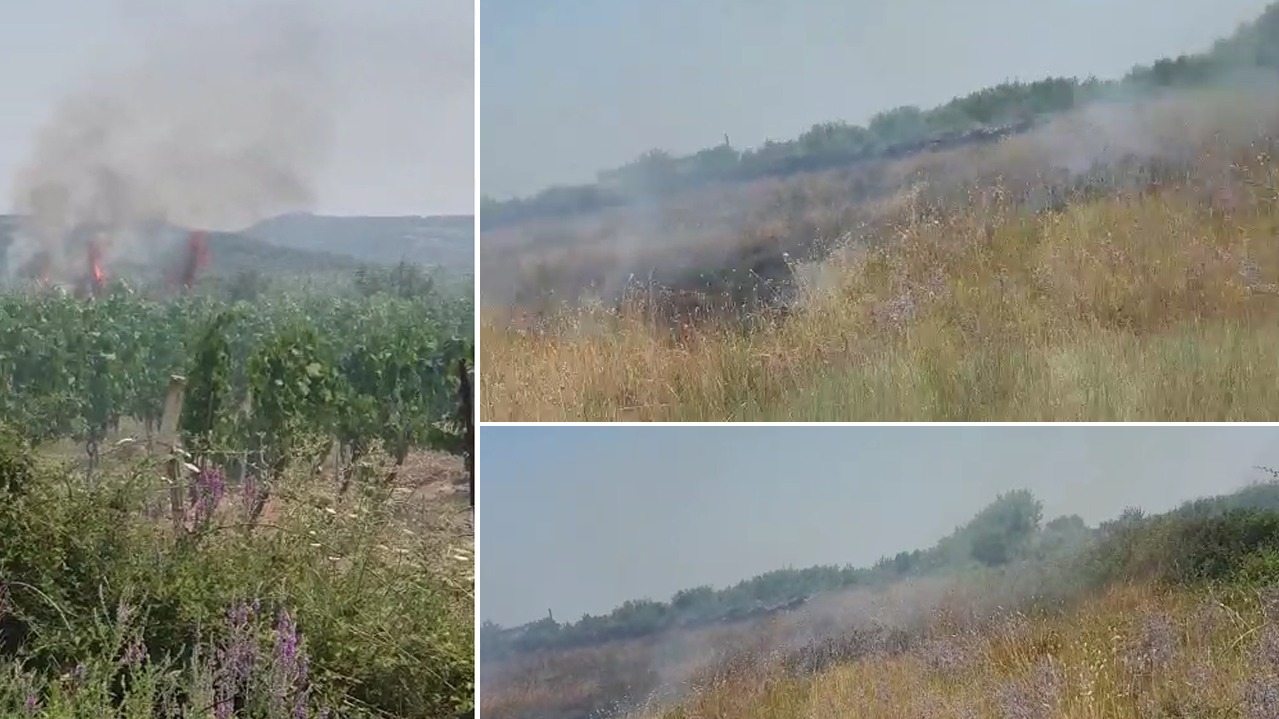 Zjarr në Panaja të Vlorës, vreshtat rrezikojnë djegien