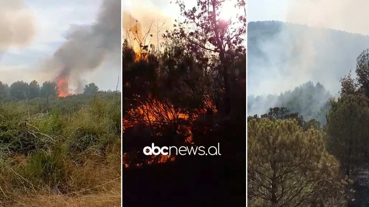 Shkrumbohen 10 hektarë pyje në Krujë, dyshohet se është i qëllimshëm