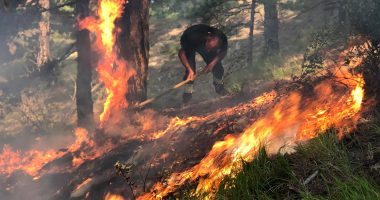 Flakët “përpijnë” dhjetëra hektarë tokë, këto janë 5 qarqet më të rrezikuara në Shqipëri