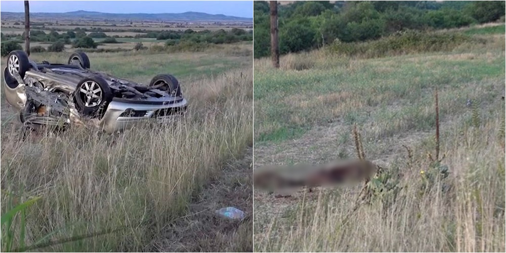 Tre automjete të përfshira, 2 viktima, 3 të plagosur e një tufë derrash të egër, bilanci i një aksidenti në mes të natës