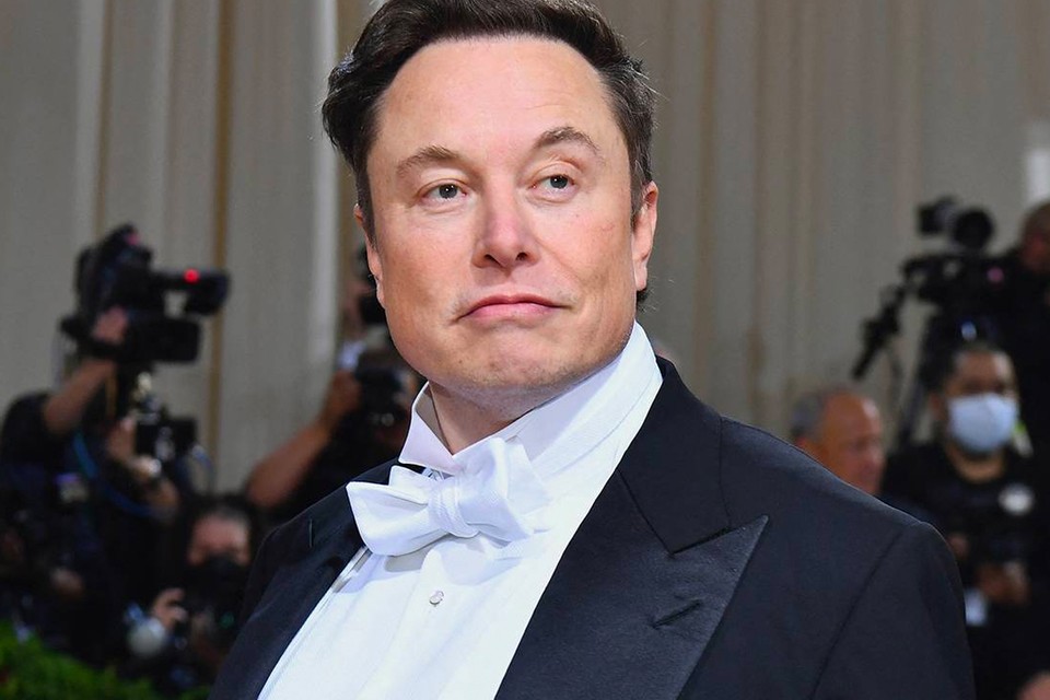 Elon Musk mohon lidhjen me gruan e mikut të tij: Kam shumë kohë pa bërë seks!