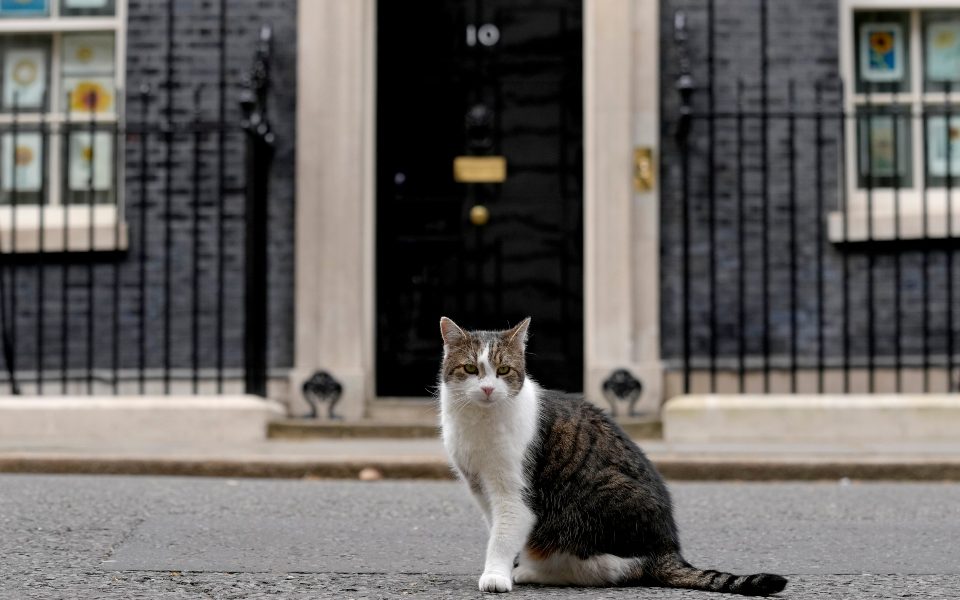 Kush është Larry, macja e Downing Street që ka përcjellë 3 kryeministra britanikë të largohen