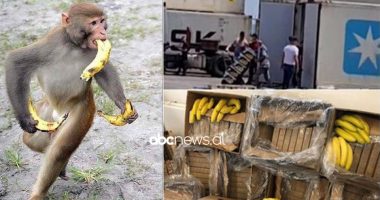 (8.) Qytetet, “Kiko” parashikon atentatet e radhës….