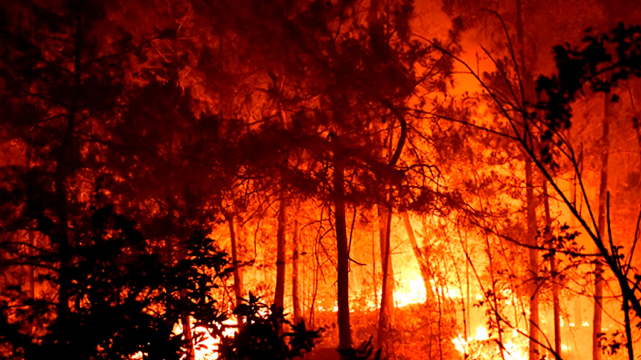 Portugalia dhe Spanja luftojnë me temperaturat e larta, rritet rreziku i zjarreve masive