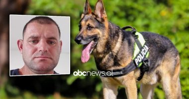 DETAJE/ Qeni çoi policinë në gjurmët e Micit, autori qëndronte i fshehur 250 metra larg shtëpisë ku vrau bashkëjetuesen