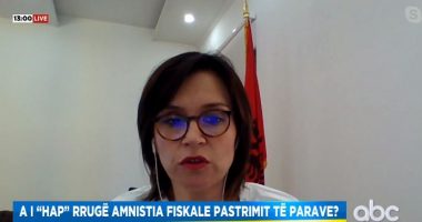 Si mund të bëjë një emigrant 2 milion euro dhe të mos i deklarojë? Zëvendësministrja për amnistinë fiskale: Si funksionon