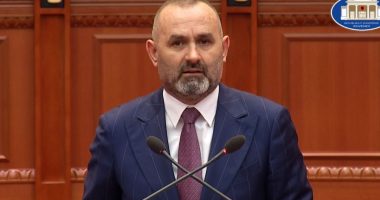 Harta e re gjyqësore, Manja: Jo të gjitha palët do të kënaqen, mekanizmi i duhur