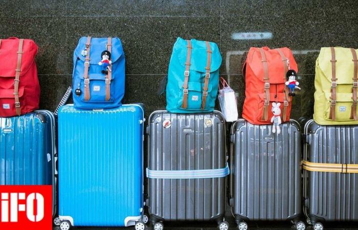 “Përdorni bagazhe me ngjyra”, udhëtarët gjermanë marrin këshillën e çuditshme