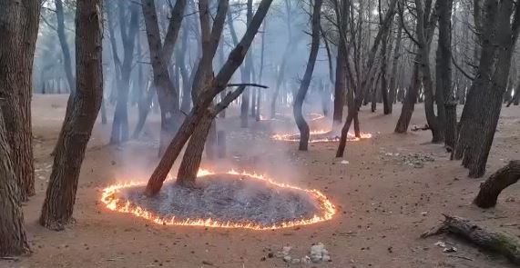 Shqipëria vijon betejën me flakët: 2 vatra zjarri aktive, rrezik nga temperaturat e larta