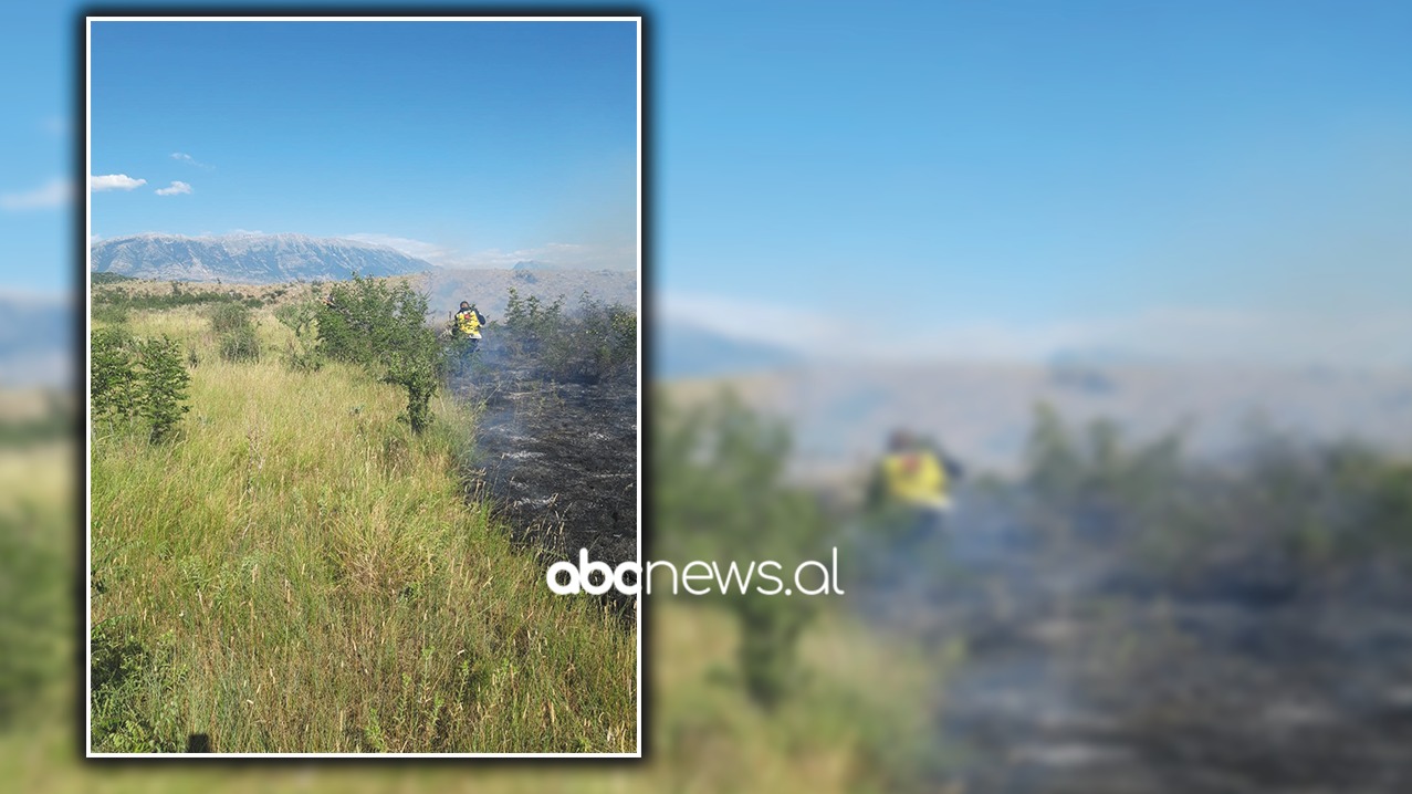 Zjarr i madh në Memaliaj, digjen 2 hektarë tokë bujqësore