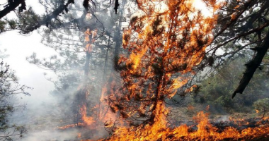 Rëndohet situata e zjarreve, 34 vatra në 24 orë, mbi 1000 forca në terren