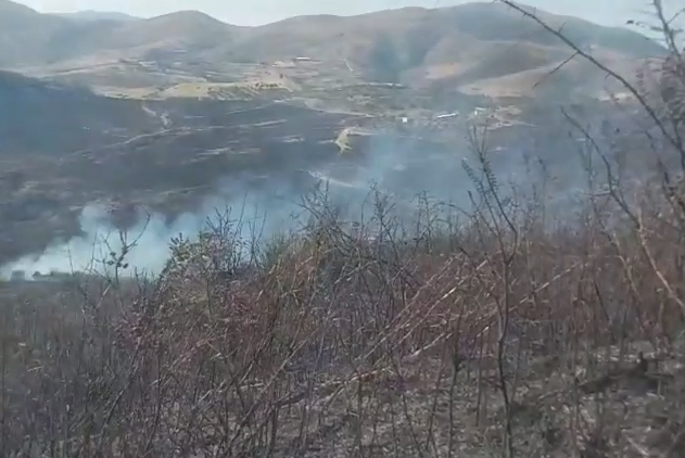 Zjarri në Lezhan të Selenicës, digjen dhjetëra hektarë me ullinj dhe një banesë