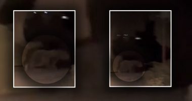 VIDEO/ Ariu zbret në Surrel, banorët filmojnë pamjet