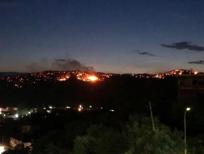Zjarri në ullishten e Elbasanit, Meta apel institucioneve: Ndërprisni pushimet, mbroni këtë pasuri natyrore