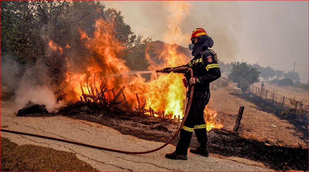 E pazakontë në Greqi,  arrestohet 10-vjeçari pasi i vuri flakën pemëve: Më pëlqen të shoh zjarrfikësit kur i shuajnë