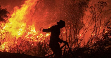 Të paktën 38 persona kanë humbur jetën si pasojë e zjarreve në Algjeri
